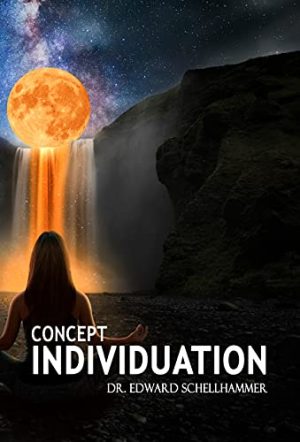 Concept Individuation
