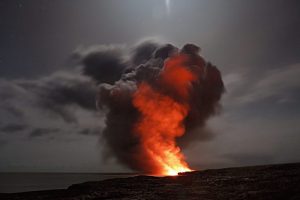 The Insane Disaster of Warmongering Humans